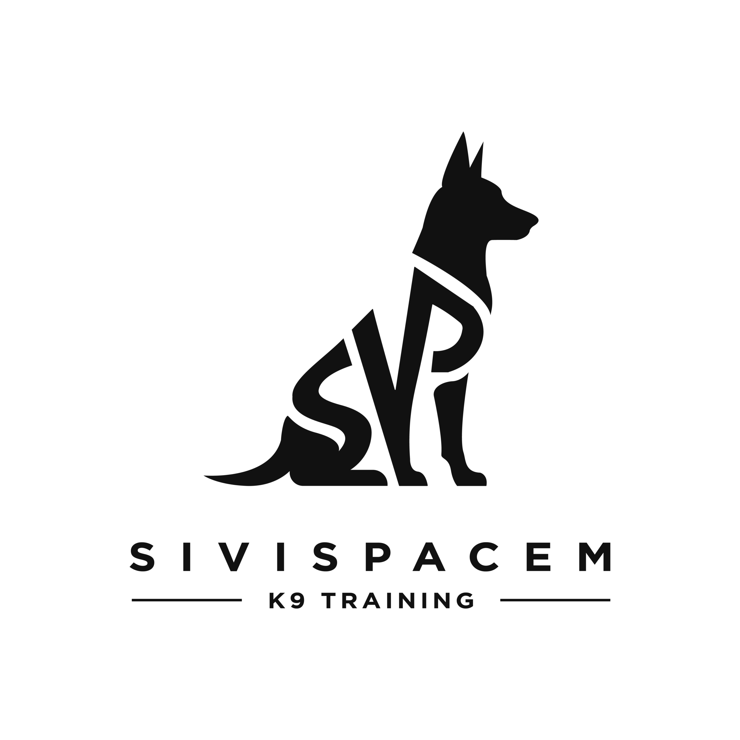 SIVISPACEM
